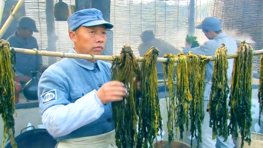 哪吒2在台没上映 郭正亮教咋看,香港内部公开资料最准确免费,多元化方案执行策略_网红版V13.37
